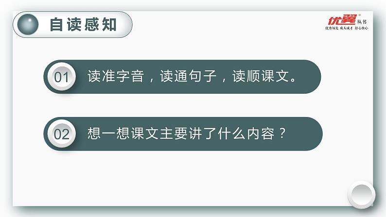 （教案匹配课件）3.桂花雨05