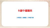 小学语文人教部编版六年级下册9 那个星期天优秀ppt课件