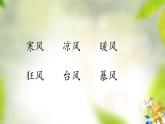 二年级上册语文部编版24.风娃娃  课件