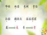 二年级上册语文部编版24.风娃娃  课件