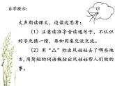二年级上册语文部编版24.风娃娃  课件