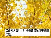 二年级上册语文部编版24.风娃娃  课件