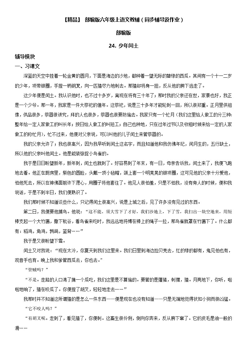 小学语文 24 少年闰土六年级上册同步辅导及作业(人教部编版)01