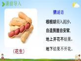 人教统编版五年级语文上册《2 落花生 第1课时》课堂教学课件PPT小学公开课