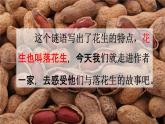 人教统编版五年级语文上册《2 落花生 第1课时》课堂教学课件PPT小学公开课