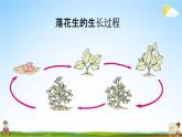人教统编版五年级语文上册《2 落花生 第1课时》课堂教学课件PPT小学公开课