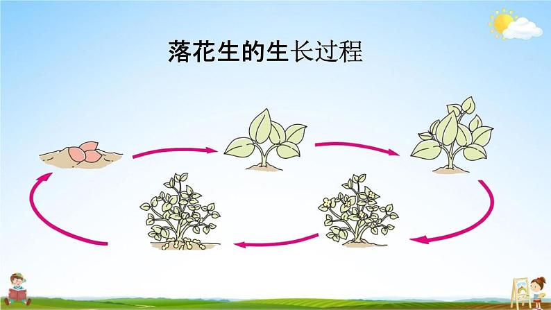 人教统编版五年级语文上册《2 落花生 第1课时》课堂教学课件PPT小学公开课第5页