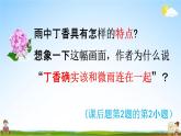 人教统编版六年级语文上册《2 丁香结 第2课时》课堂教学课件PPT小学公开课