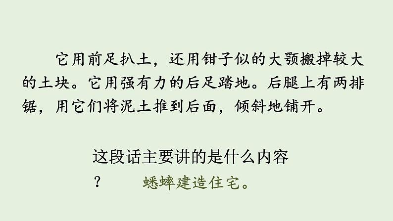 部编版语文四年级上册第三单元 语文园地三 课件03