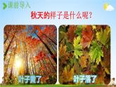 人教统编版一年级语文上册《1 秋天 第1课时》课堂教学课件PPT小学公开课