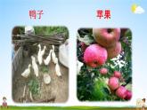 人教统编版一年级语文上册《7 大小多少 第2课时》课堂教学课件PPT小学公开课
