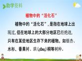 人教统编版二年级语文上册《2 树之歌 第1课时》课堂教学课件PPT小学公开课