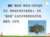 人教统编版二年级语文上册《2 树之歌 第1课时》课堂教学课件PPT小学公开课