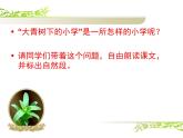 人教版（部编版）小学语文三年级上册 1、大青树下的小学  课件