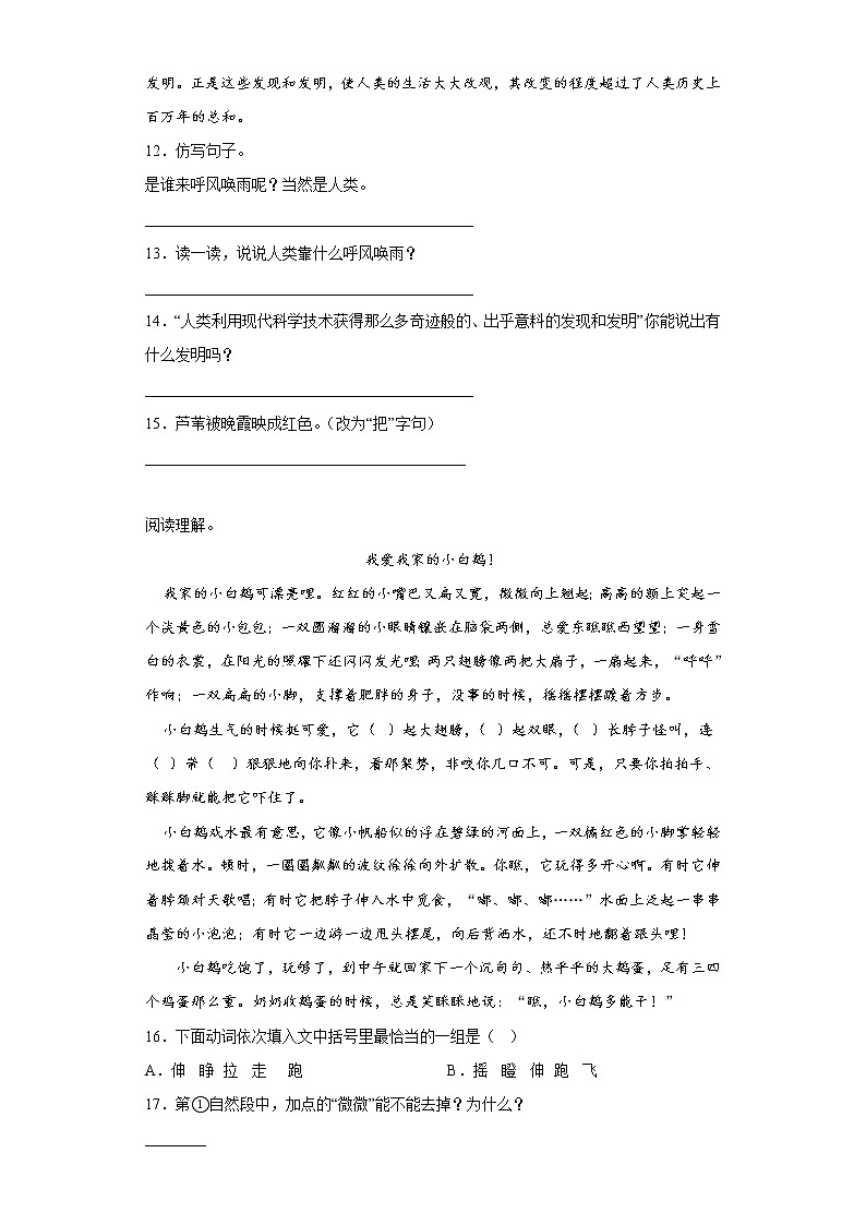 学霸复习——部编版语文四年级上册期中抢分复习（四）第3页