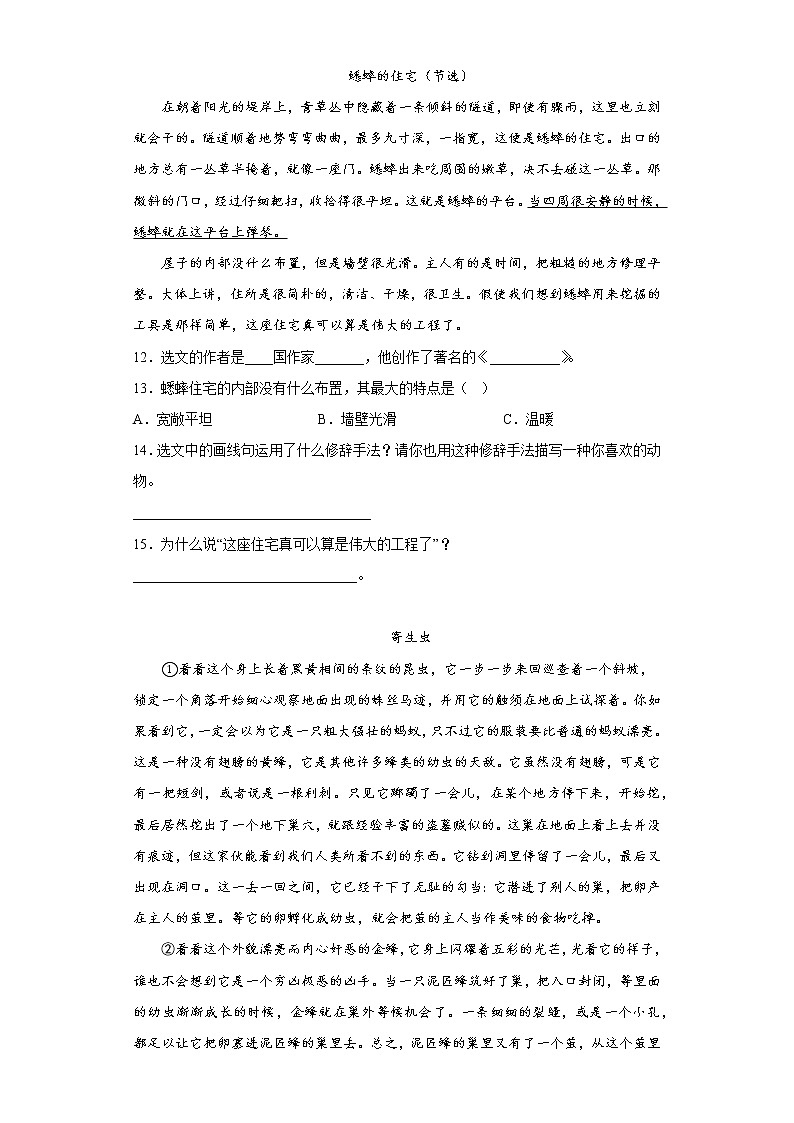 学霸复习——部编版语文四年级上册期中抢分复习（十九）第3页