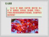 人教版（部编版）小学语文三年级上册 4、古诗三首《山行》  课件