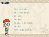 人教版（部编版）小学语文三年级上册 4、古诗三首《山行》  课件
