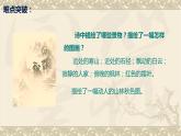 人教版（部编版）小学语文三年级上册 4、古诗三首《山行》  课件