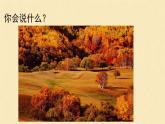人教版（部编版）小学语文三年级上册 4、古诗三首《山行》  课件