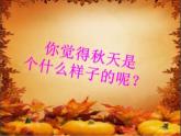 人教版（部编版）小学语文三年级上册 4、古诗三首《夜书所见》  课件