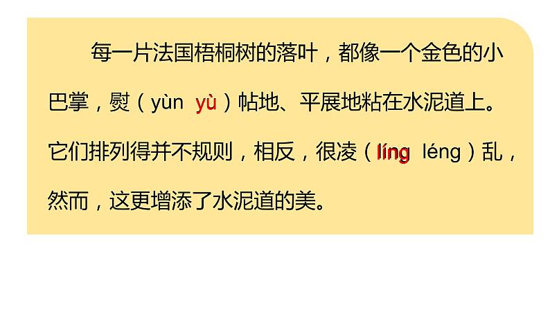 人教版（部编版）小学语文三年级上册 5.铺满金色巴掌的水泥路  课件07