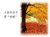 人教版（部编版）小学语文三年级上册7.听听，秋的声音  课件