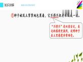 人教版（部编版）小学语文三年级上册 9.那一定会很好  课件