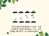人教版（部编版）小学语文三年级上册 9.那一定会很好  课件