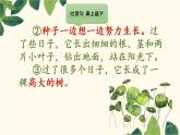 人教版（部编版）小学语文三年级上册 9.那一定会很好  课件