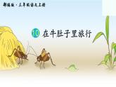 人教版（部编版）小学语文三年级上册 10.在牛肚子里旅行  课件
