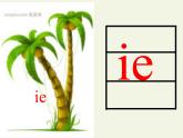 人教版（部编版）小学语文一年级上册 11 ie üe er 课件