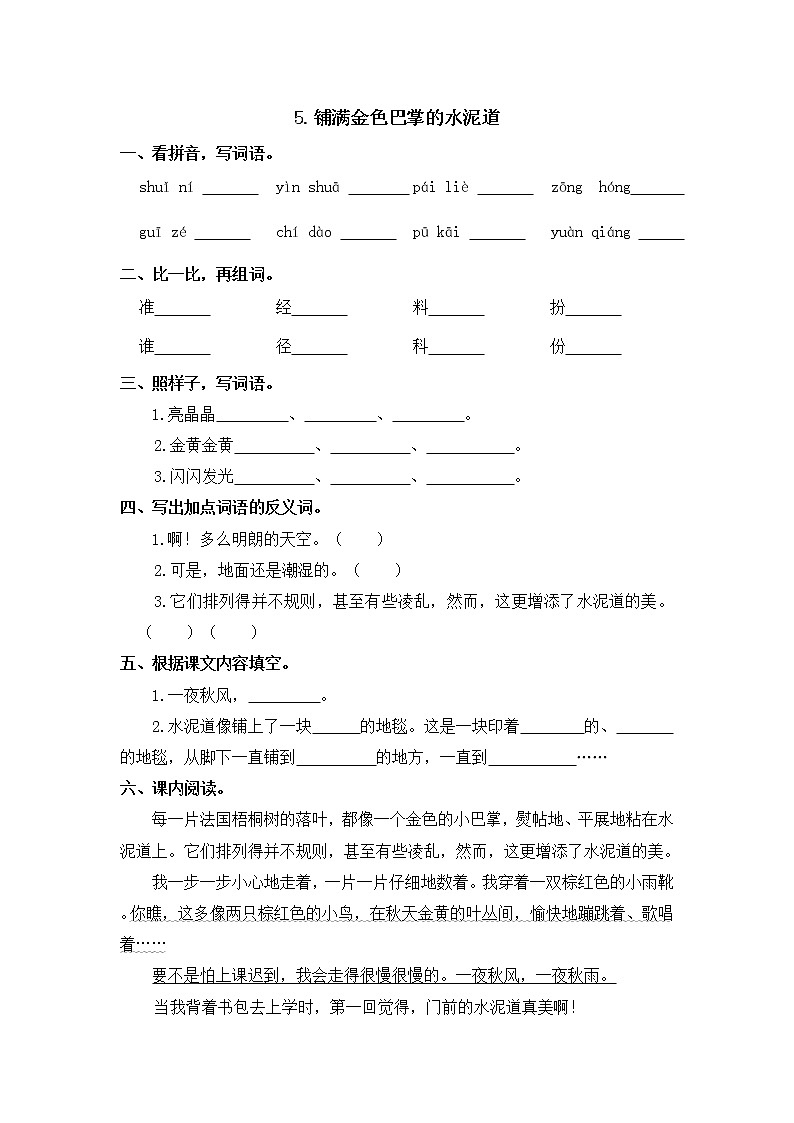 5.《铺满金色巴掌的水泥道》（同步练习）部编版语文三年级上册01