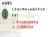 人教版（部编版）小学语文三年级上册 15.搭船的鸟  课件