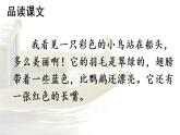人教版（部编版）小学语文三年级上册 15.搭船的鸟  课件