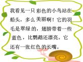 人教版（部编版）小学语文三年级上册 15.搭船的鸟  课件