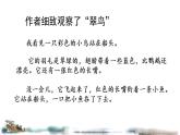 人教版（部编版）小学语文三年级上册 15.搭船的鸟  课件