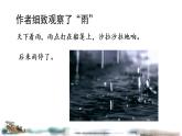 人教版（部编版）小学语文三年级上册 15.搭船的鸟  课件