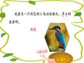 人教版（部编版）小学语文三年级上册 15.搭船的鸟  课件