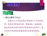 人教版（部编版）小学语文三年级上册 18.富饶的西沙群岛  课件