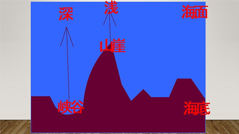 人教版（部编版）小学语文三年级上册 18.富饶的西沙群岛  课件08