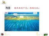 人教版（部编版）小学语文三年级上册 18.富饶的西沙群岛  课件