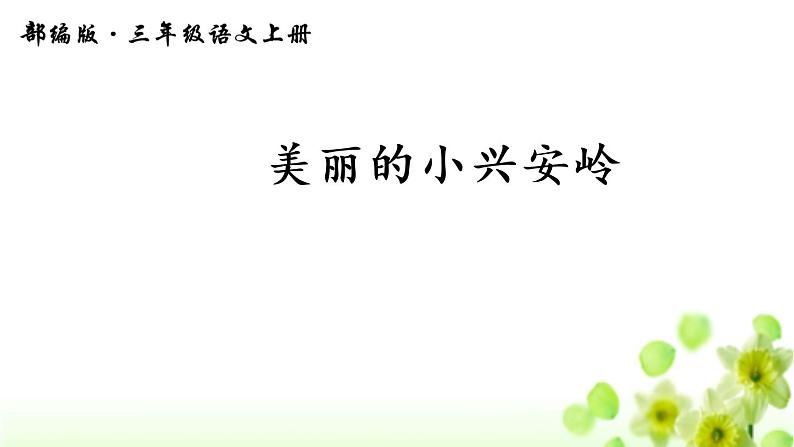 人教版（部编版）小学语文三年级上册 20.美丽的小兴安岭  课件01