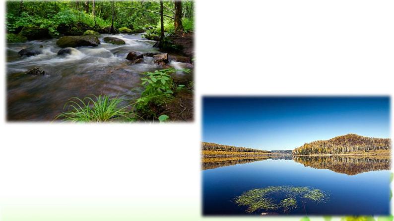 人教版（部编版）小学语文三年级上册 20.美丽的小兴安岭  课件04