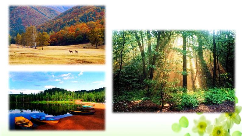 人教版（部编版）小学语文三年级上册 20.美丽的小兴安岭  课件05