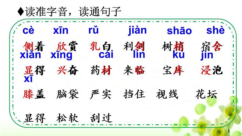 人教版（部编版）小学语文三年级上册 20.美丽的小兴安岭  课件06