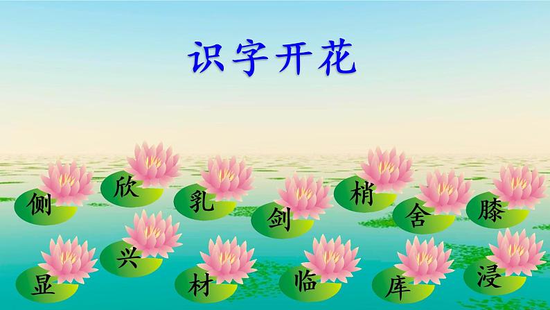 人教版（部编版）小学语文三年级上册 20.美丽的小兴安岭  课件07
