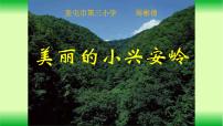 小学语文人教部编版三年级上册20 美丽的小兴安岭背景图课件ppt