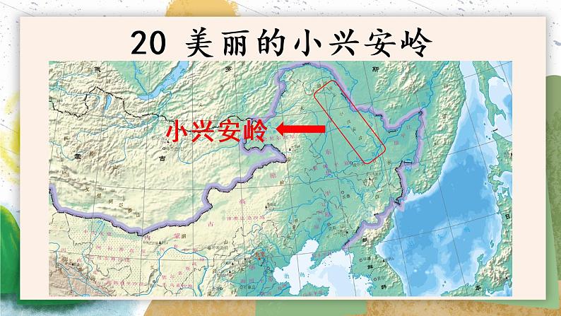 人教版（部编版）小学语文三年级上册 20.美丽的小兴安岭  课件01