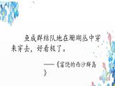 人教版（部编版）小学语文三年级上册 语文园地六  课件